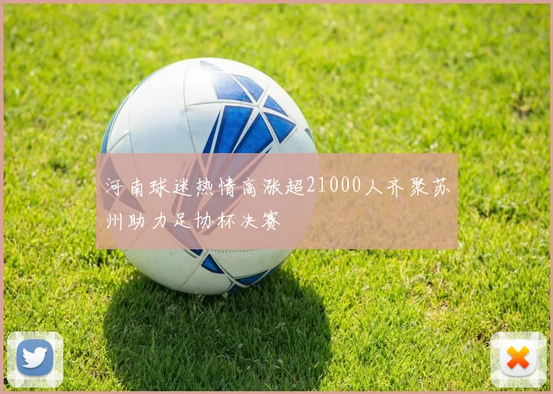 河南球迷热情高涨超21000人齐聚苏州助力足协杯决赛