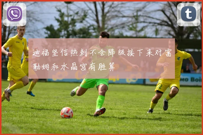 迪福坚信热刺不会降级接下来对富勒姆和水晶宫有胜算