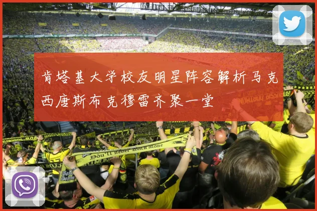 肯塔基大学校友明星阵容解析马克西唐斯布克穆雷齐聚一堂