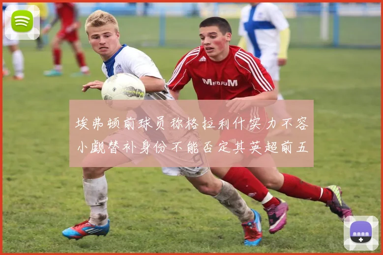 埃弗顿前球员称格拉利什实力不容小觑替补身份不能否定其英超前五地位